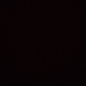 Meet your Posher, Daisy